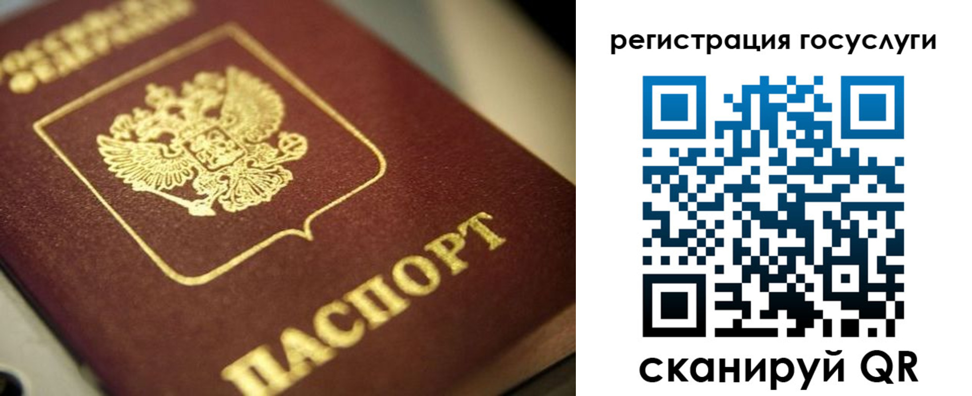 прописка штамп в Новомосковске